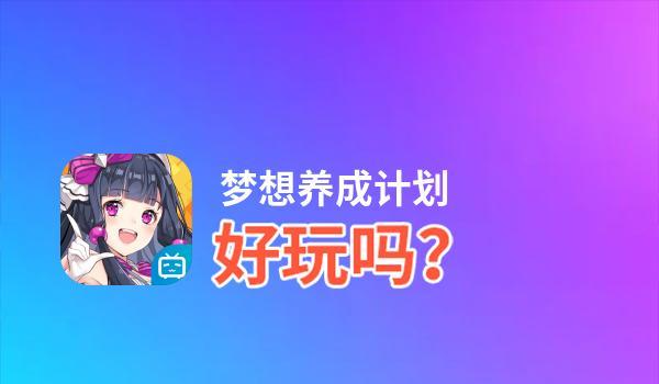 梦想计划：关键与关卡