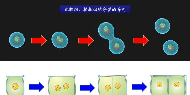 战锤3全面战争英文名：狂潮武器砸破无聊！