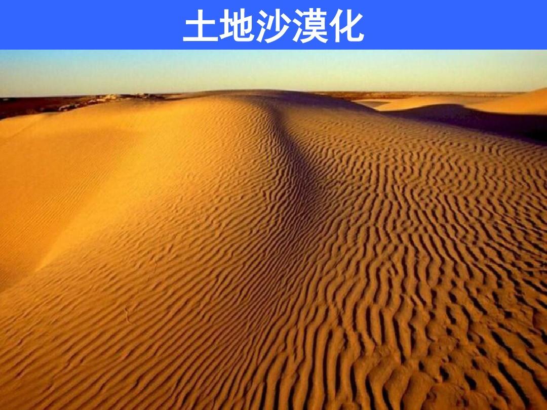 土地开拓者_开拓土地的游戏_开拓土地的意思