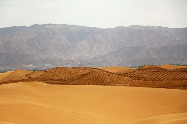 土地开拓者_开拓土地的意思_开拓土地的游戏