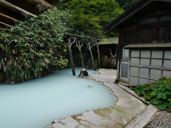 真秘汤めぐり种子_种子秘方_种子汤是促孕的中药吗