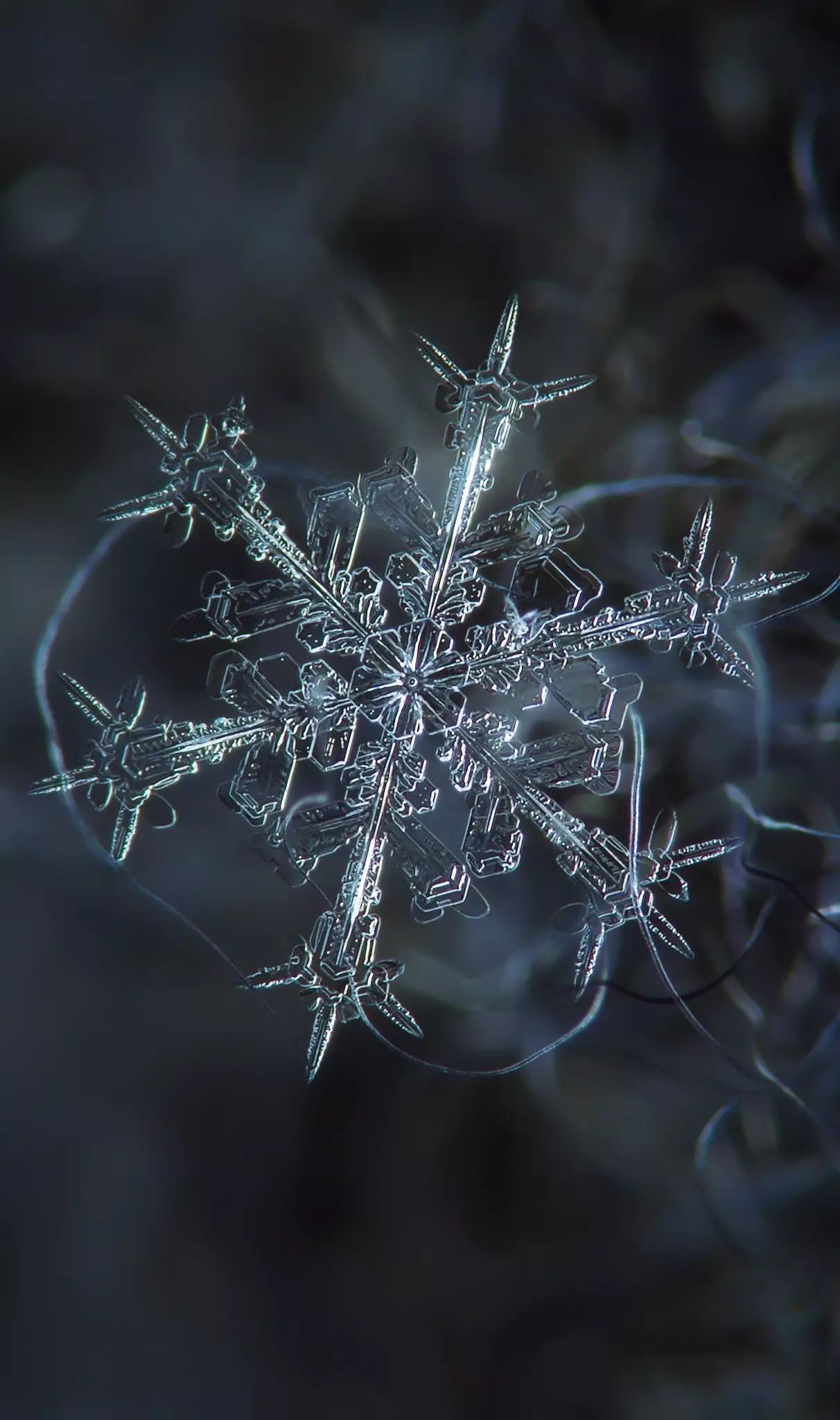 东方夜神雪梦幻馆_东方夜神雪_东方夜神雪霜火迷宫