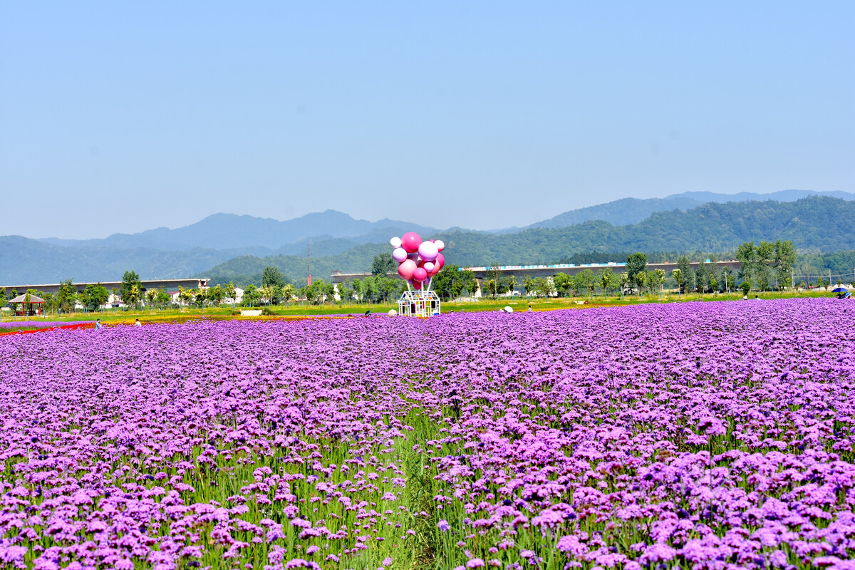 高岭爱花全发型_高岭爱花loveplus_高岭爱花