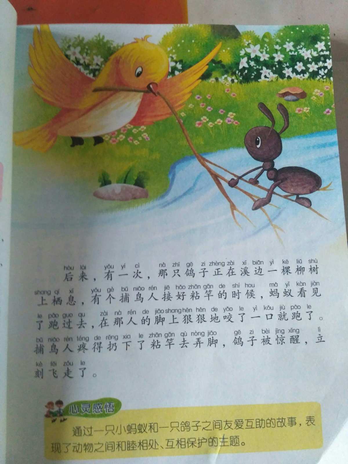 鸽子的睡前故事_鸽子故事绘本_蚂蚁和鸽子的故事贝瓦网睡前故事