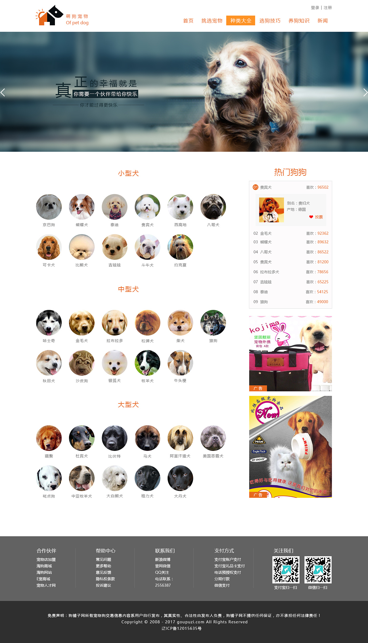 上海宠物app_上海宠物网站_上海宠物贴吧