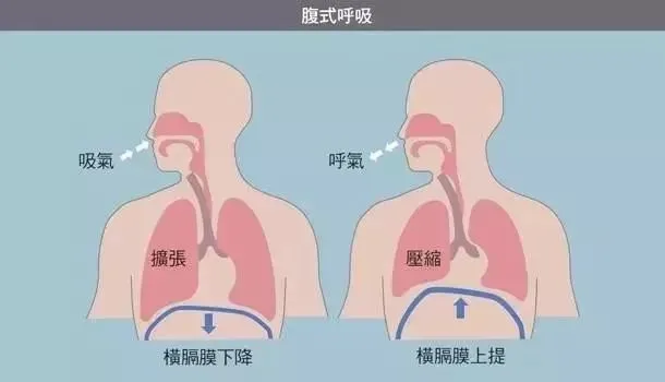 玉足之吻会所_吻玉足_舔玉足吻脚图片