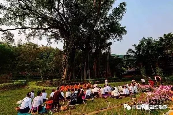 祭祀树神的几样东西_祭祀树沙雾_祭祀之树