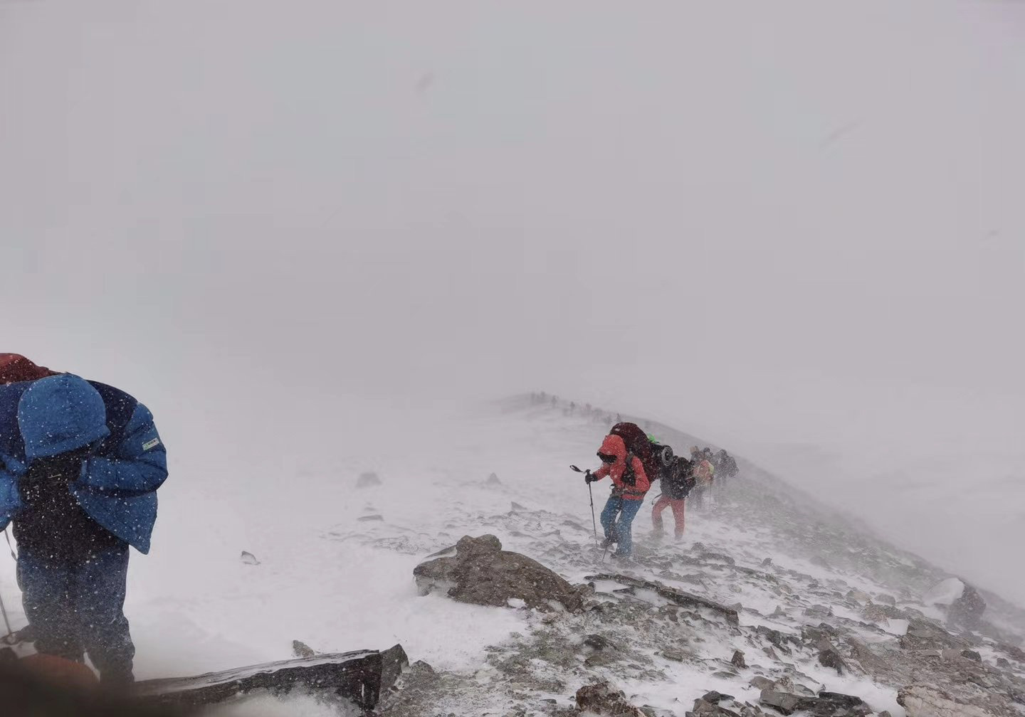 造梦西游3雪球_造梦西游五雪球超进化视频_造梦西游雪团