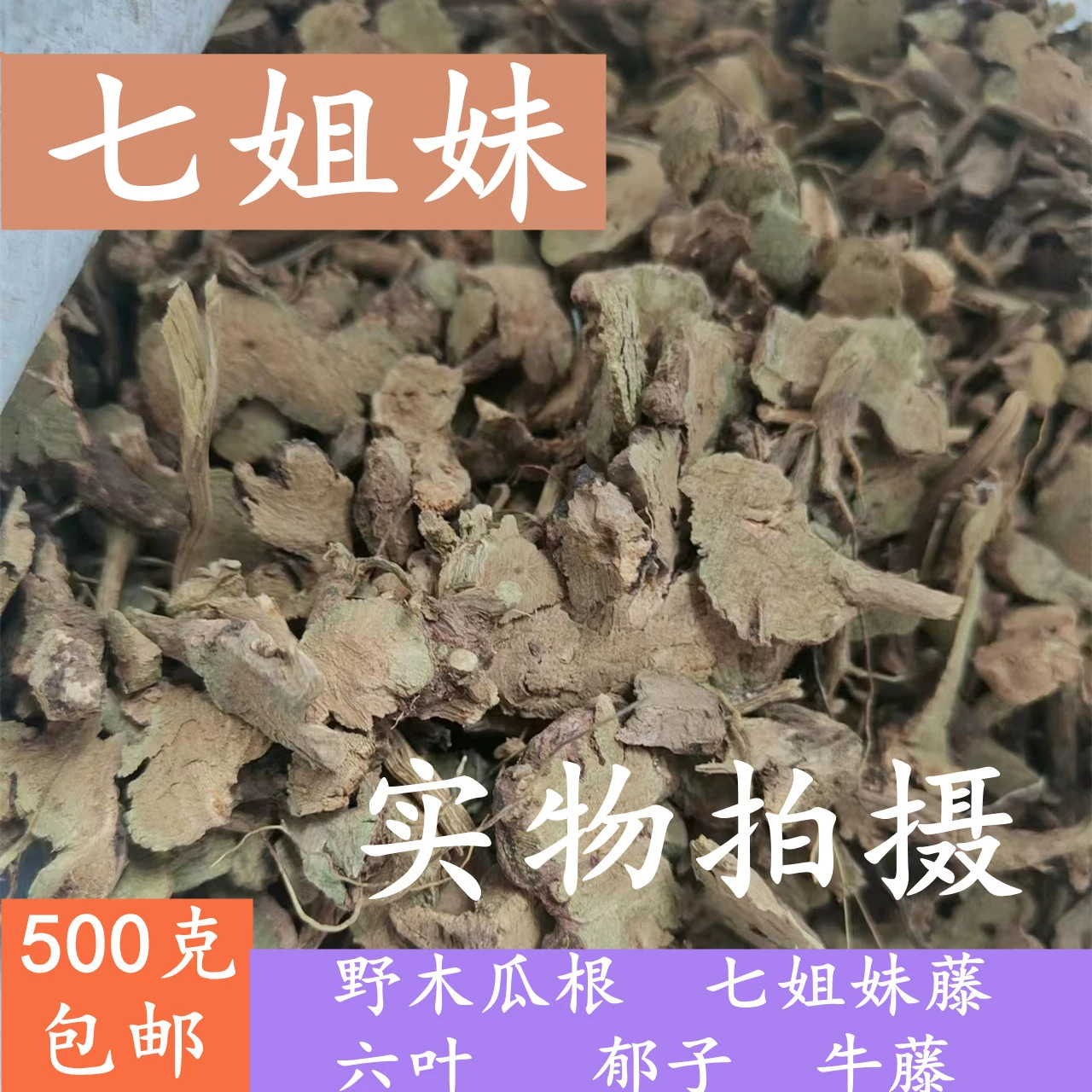 借金姐妹2磁力_借金姐妹_借金姐妹动漫