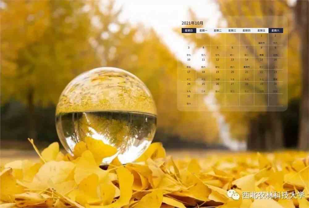 时光守护者的声望_时光守护者任务_时光守护者军需官