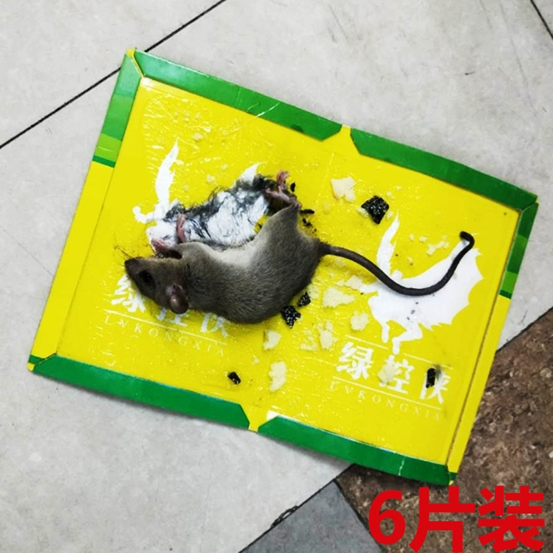 灭鼠记观后感_我爱我家灭鼠记剧本_灭鼠记