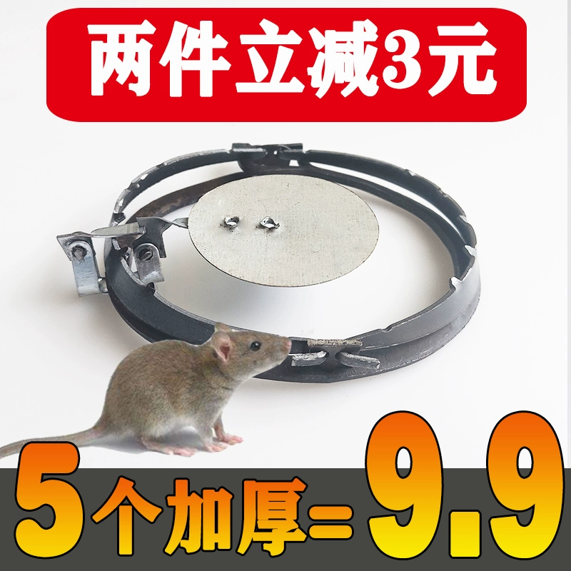 我爱我家灭鼠记剧本_灭鼠记观后感_灭鼠记