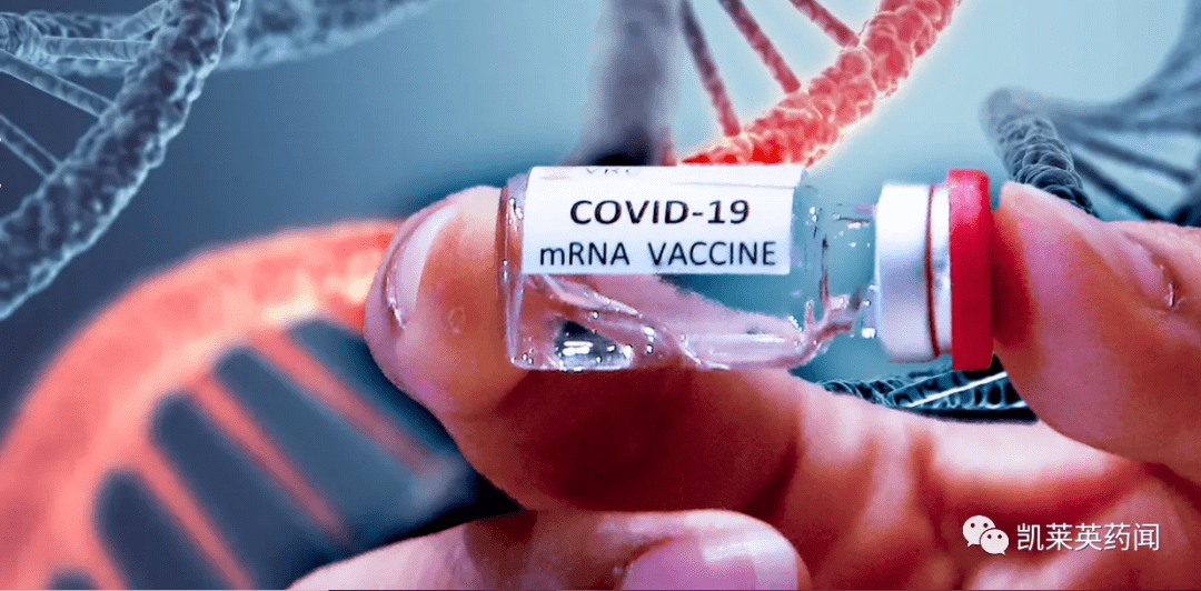 幽灵生化模式玩不了了_幽灵生化模式cf_生化幽灵