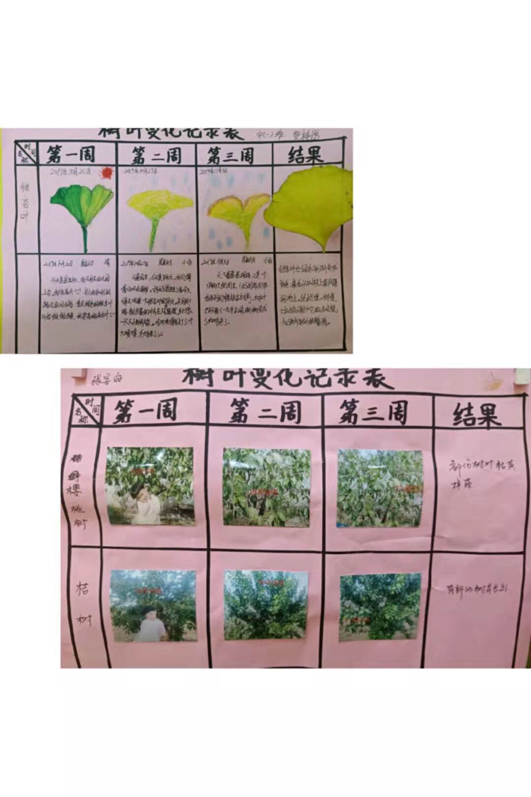 七巧板的来历_七巧板来历讲解及规则_七巧板来历小报