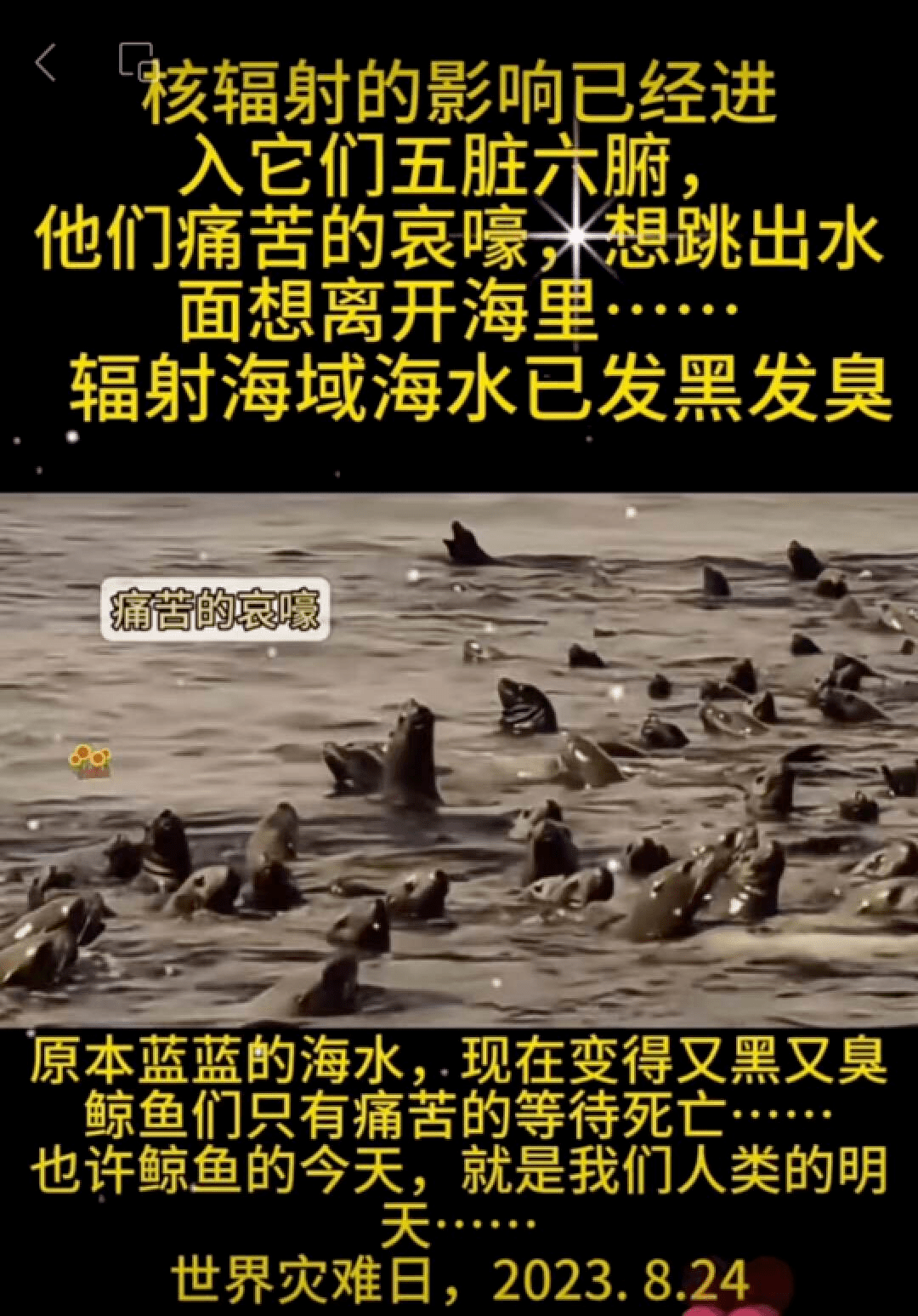 虚幻系列_虚幻做的游戏有哪些_虚幻感 游记 -游戏 -