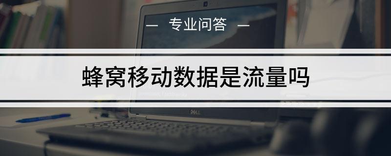 如何查看手机流量_手机流量查看流量_怎查手机流量详查