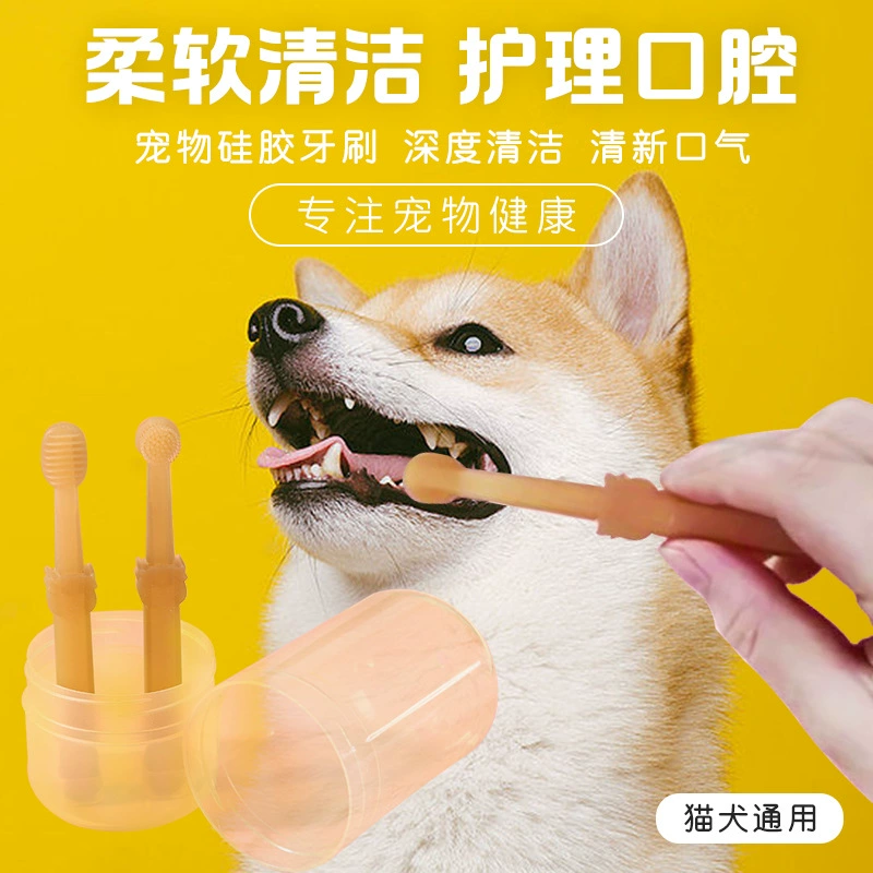 美容宠物店北京哪家好_北京宠物美容店_北京宠物美容师