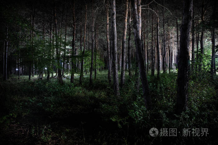 阿鲁巴是啥游戏_阿鲁巴好玩吗_阿鲁巴游戏