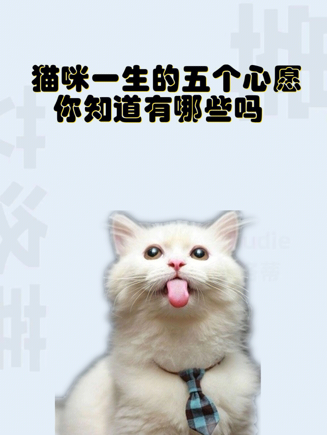 诚哥的逆袭全流程攻略_诚哥的逆袭_诚哥的逆袭先行版