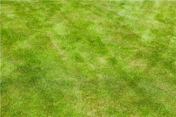 和平精英画质修改器_和平精英画质修改器视频教程_和平精英修改画质器下载