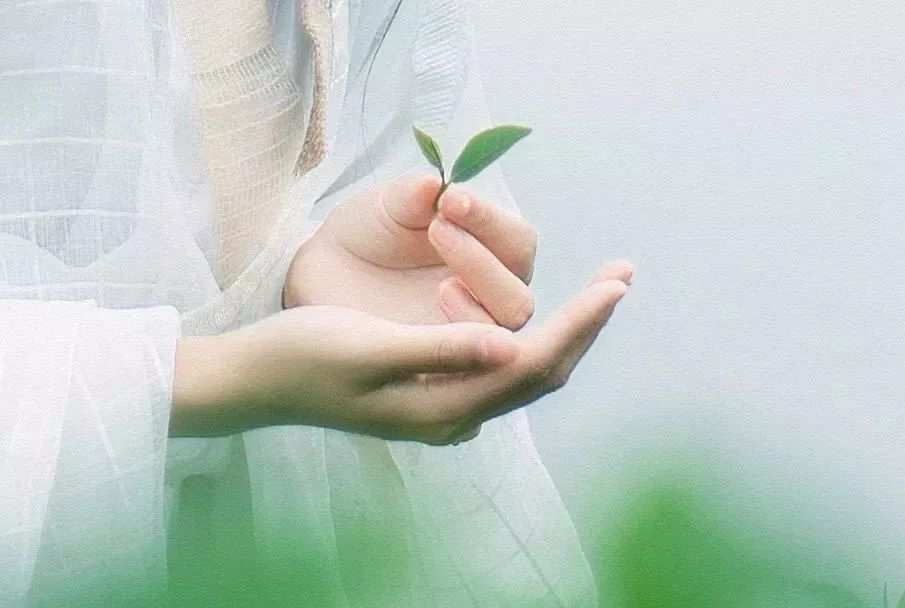 听命天波府打一人名_听天由命吧_听命天波府