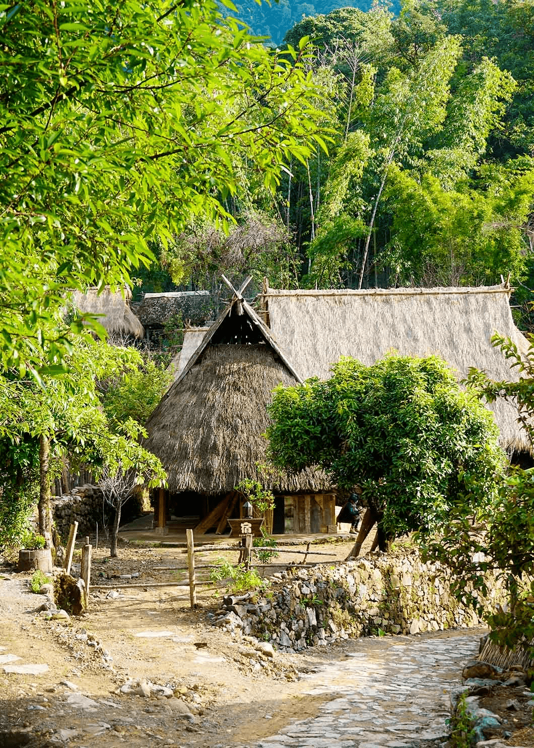 丛林祖玛_丛林祖玛4399游戏_丛林祖玛游戏