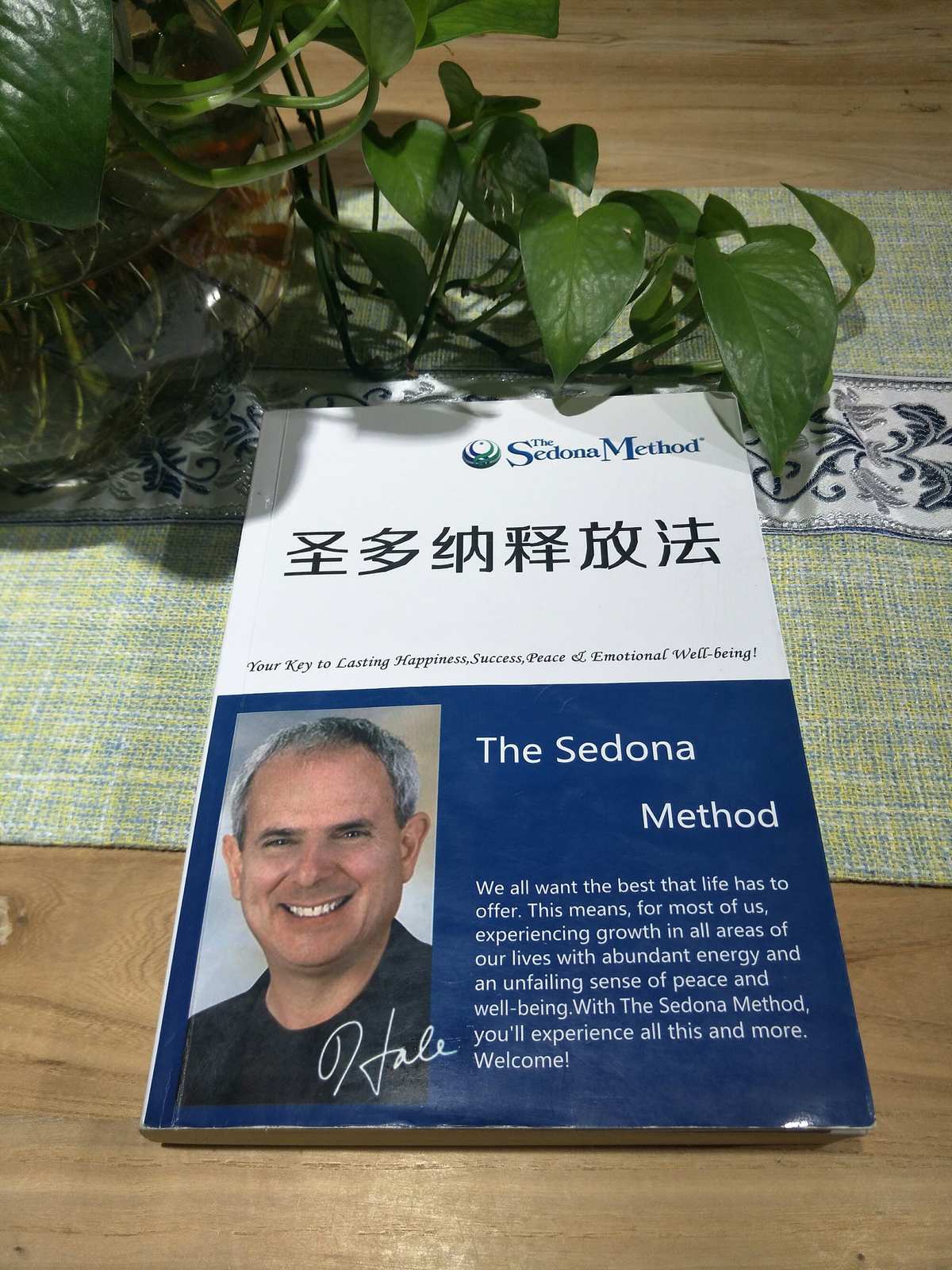 纳牛博易大师手机版_博易大师纳牛免费版账号_博易大师纳牛看盘软件