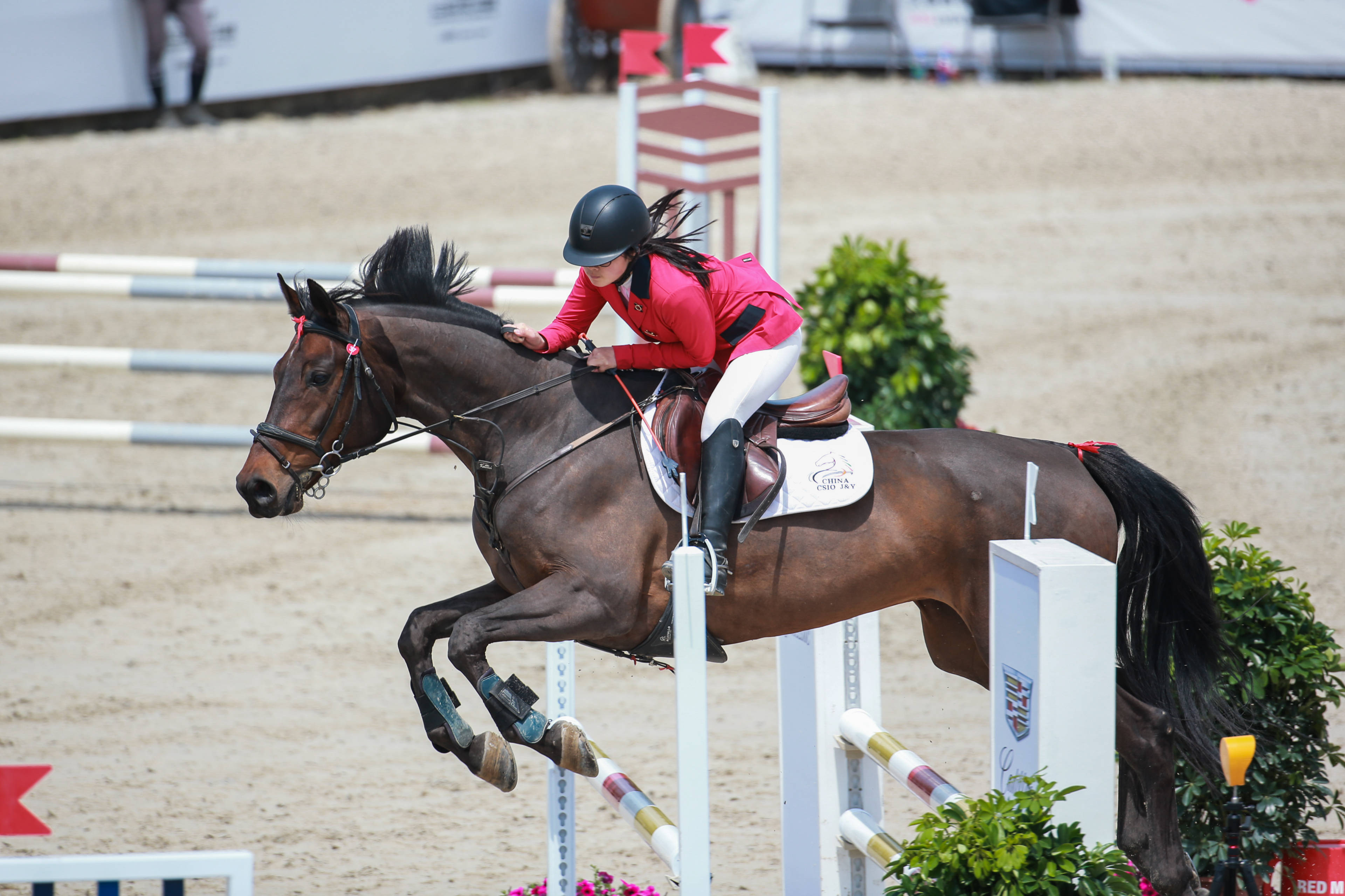 不思议街的王子殿下_马之王子殿下游戏_我的睡王子殿下