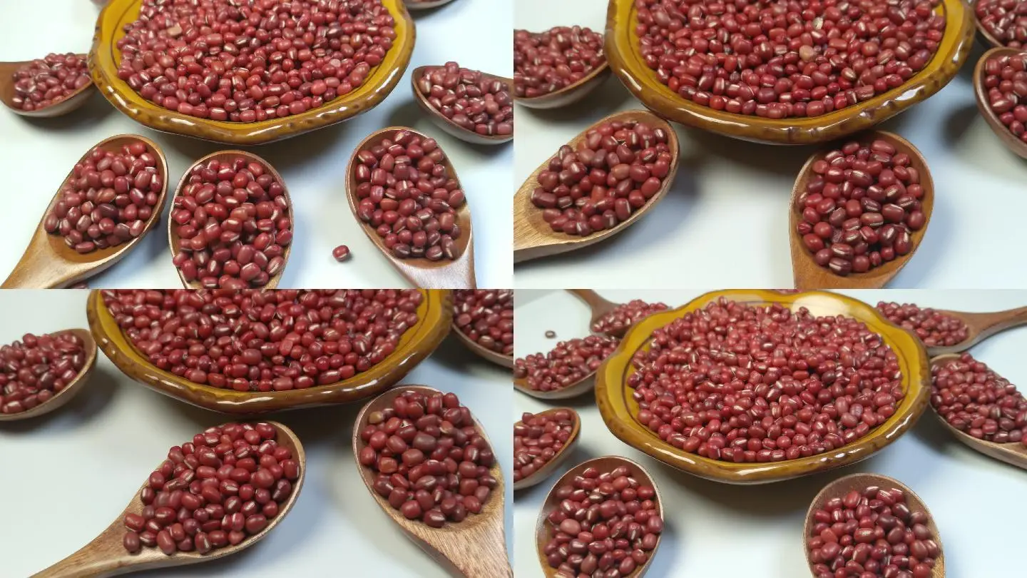 红豆视频app_视频红豆词_视频红豆花开的地方