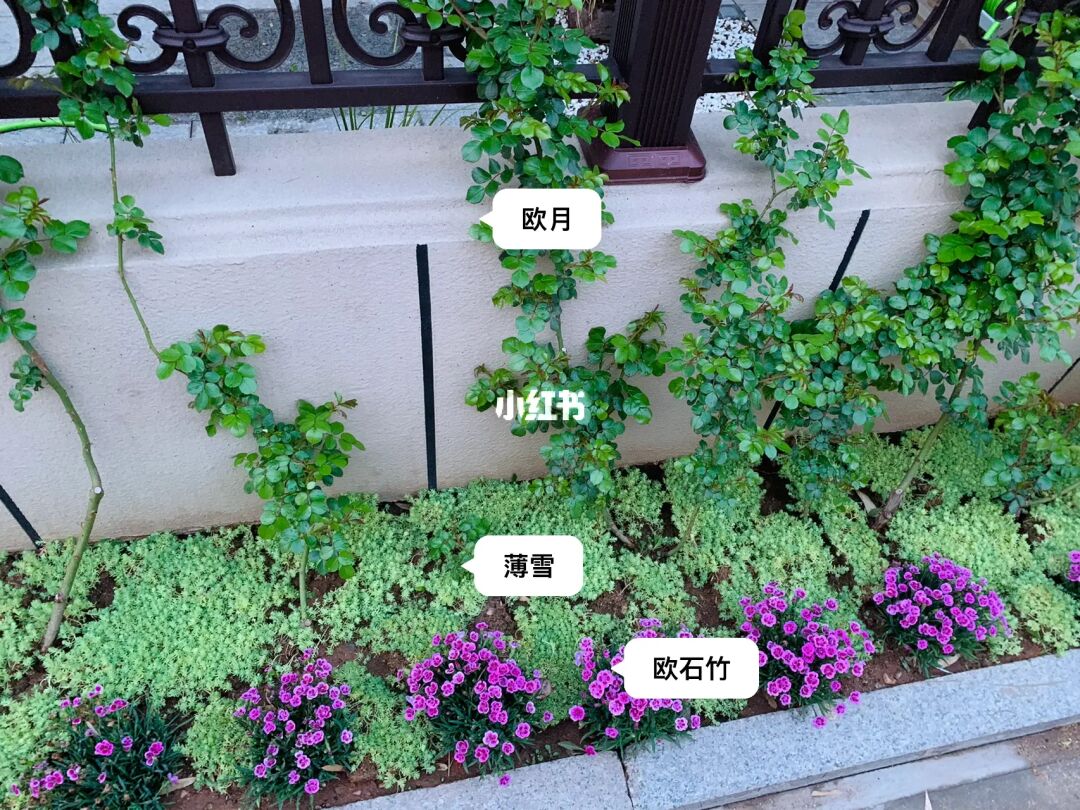 磐岩结绿怎么获得_德拉诺集岩者成就如何获得_阿寒湖鹤雅酒店岩磐浴