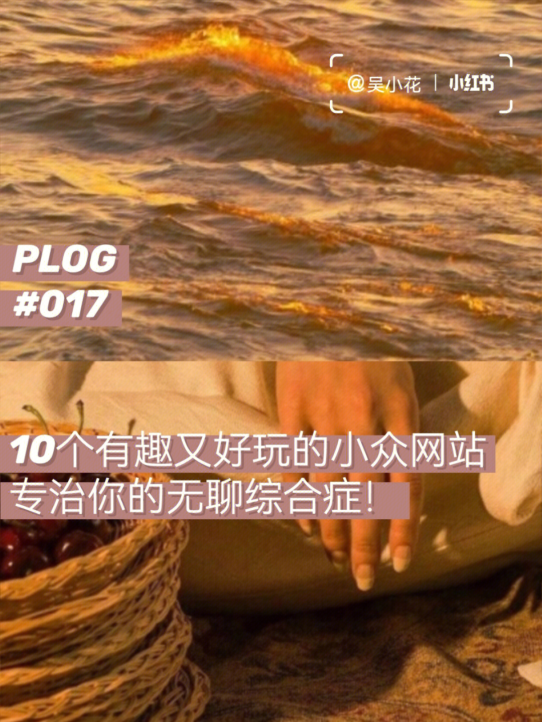 推特更新在哪_推特更新官网_推特更新