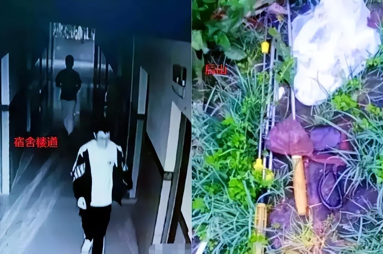 尸环_尸环图片_尸环女孩是真的吗