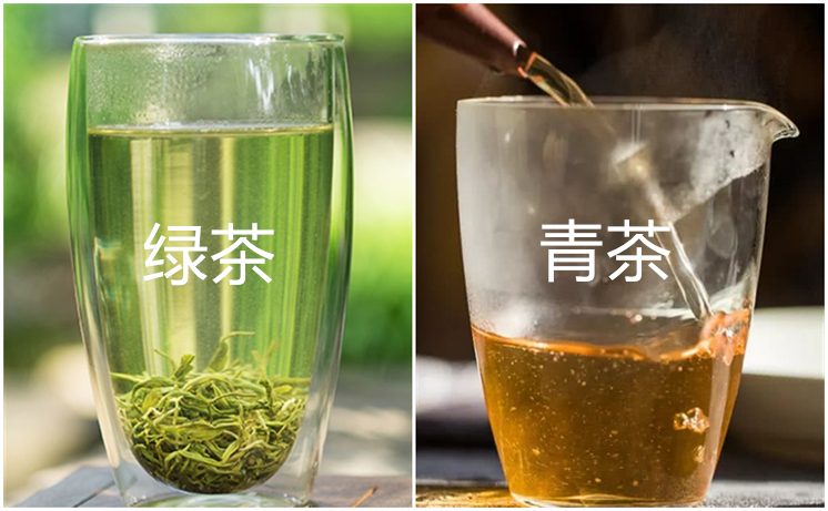 绿茶模拟器加查_触摸隐私模拟器_绿茶模拟器