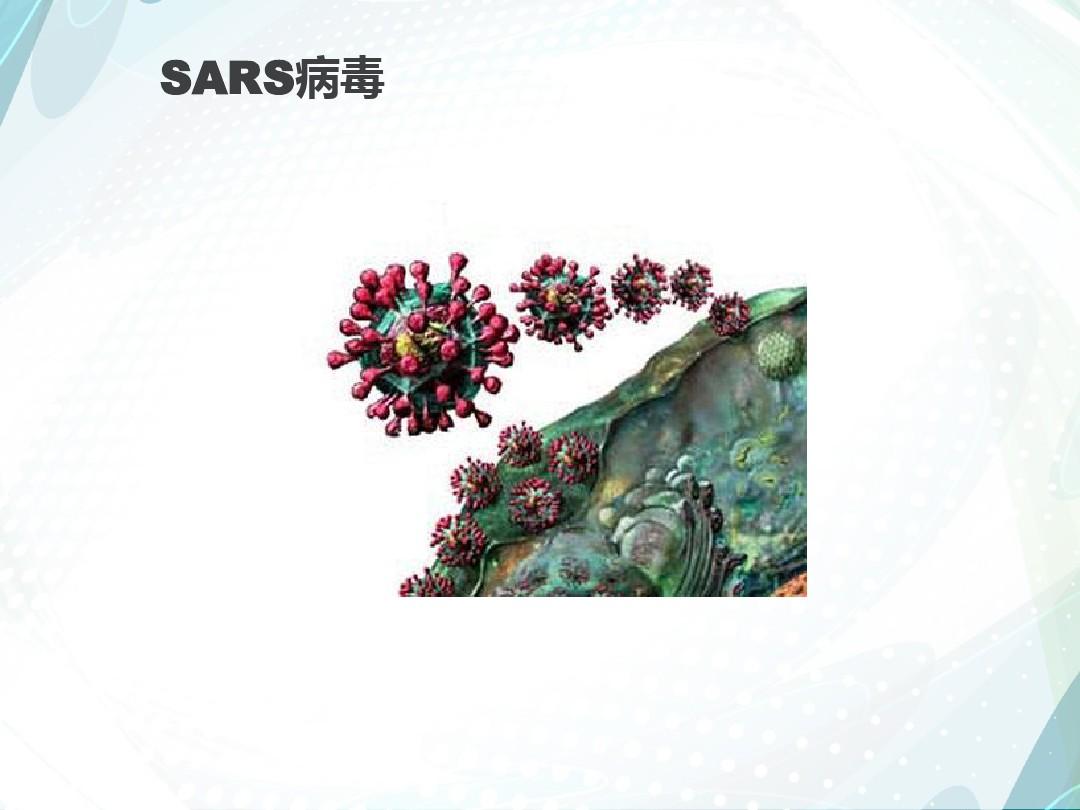终极克星_最强克星_终极克星是什么意思