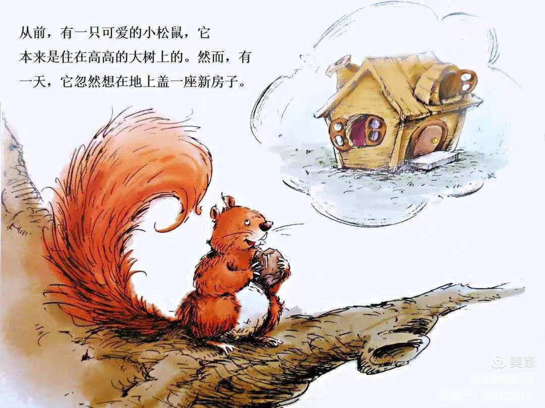 科学松鼠会app_三只松鼠小贱_小松鼠app