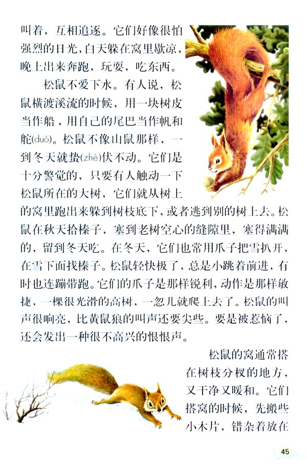 科学松鼠会app_小松鼠app_三只松鼠小贱
