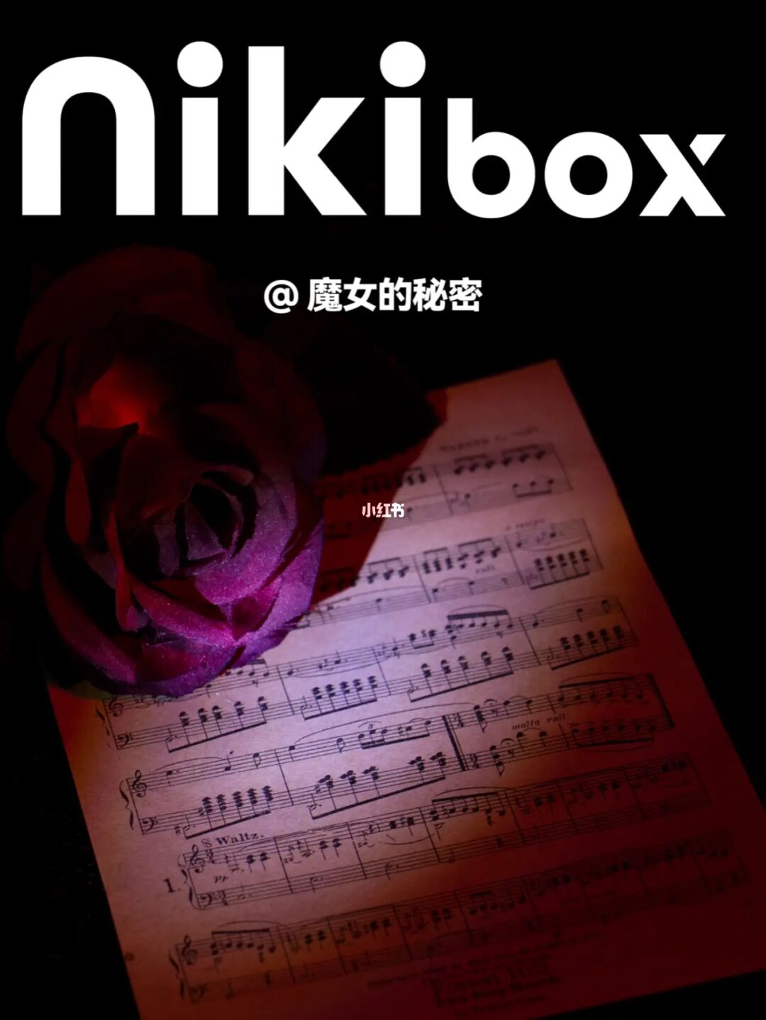 秘密俱乐部里的秘密塞尔达传说_塞尔达传说秘密俱乐部里的秘密_秘密俱乐部传说塞尔达里怎么打