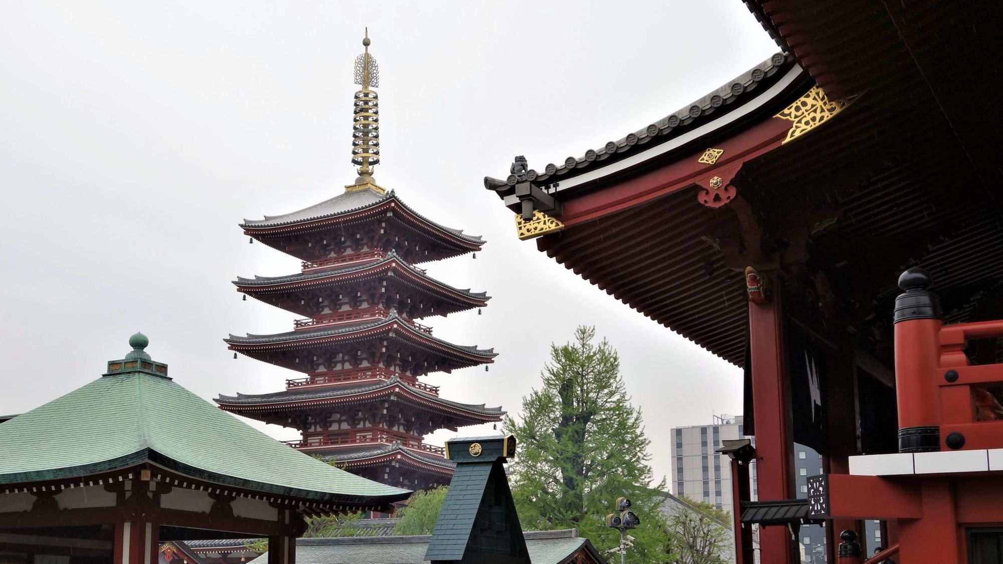 老司机福利日本_老司机福利日本_老司机福利日本