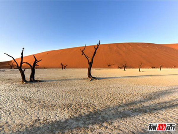 地平线西之绝境下载_绝境重启下载_绝境边界线