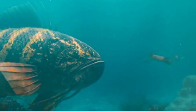 捕鱼深海龙渊_捕鱼深海狩猎_深海捕鱼