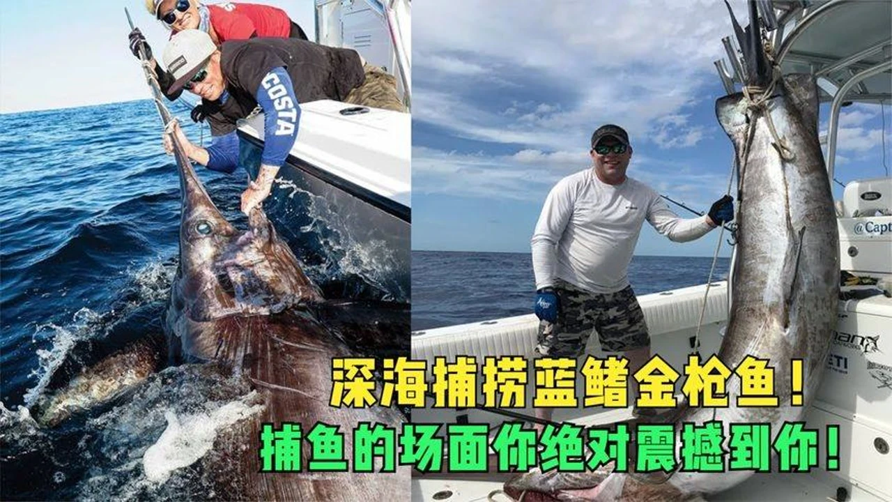 捕鱼深海龙渊_捕鱼深海狩猎_深海捕鱼
