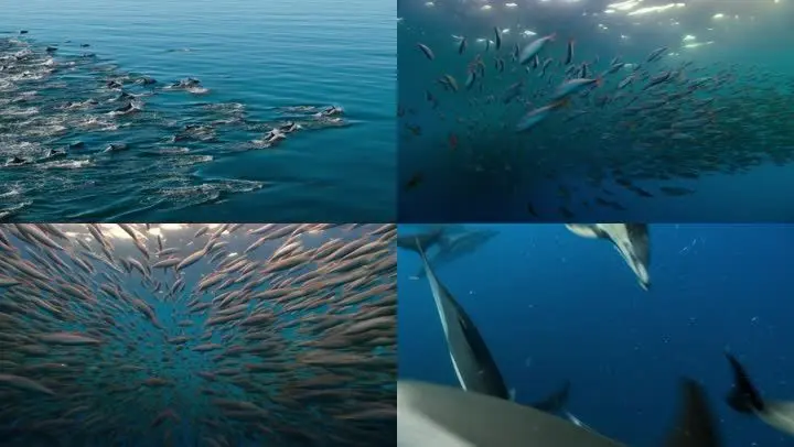 捕鱼深海狩猎_深海捕鱼_捕鱼深海龙渊