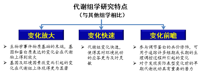 源数_源数网络_源数卡组构建