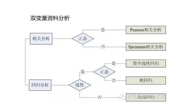 源数网络_源数卡组构建_源数