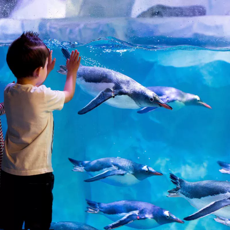 水族馆游戏_水族馆游戏_水族馆游戏