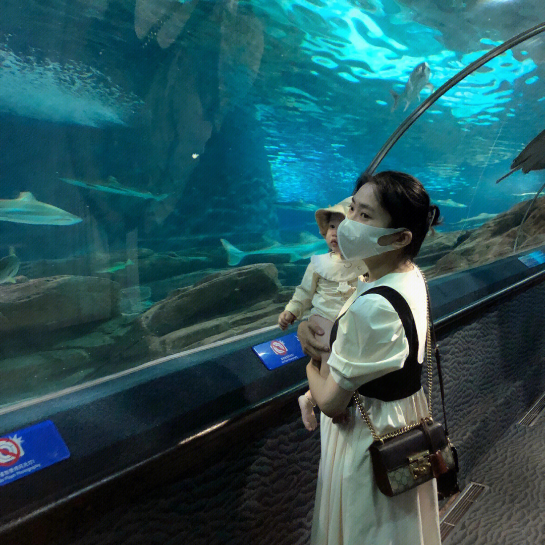 水族馆游戏_水族馆游戏_水族馆游戏