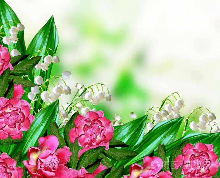 花瓣轻游是干嘛用的_花瓣轻游下载_花瓣轻游
