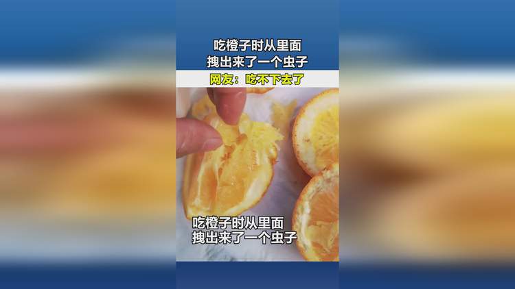 啃果虫_啃虫果怎么抓_啃虫果在哪