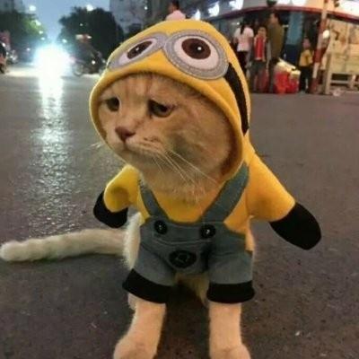 头像最新微信_头像新款_微信头像图片新款