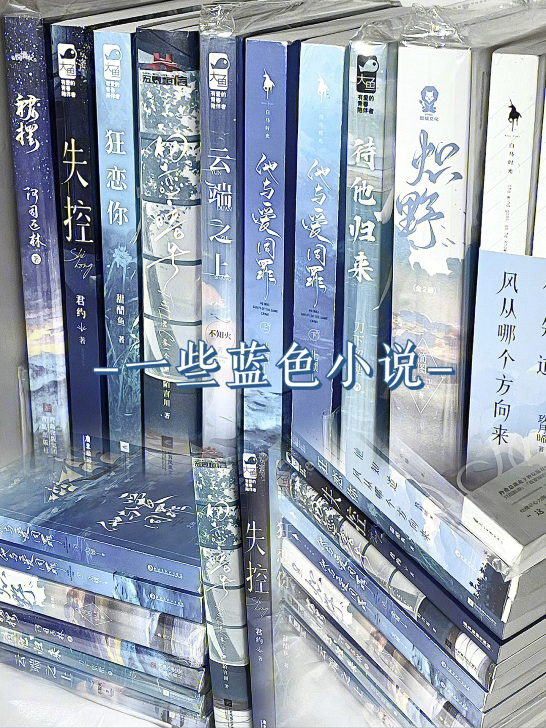 阁小说笔趣阁_蓝色笔趣阁app_笔趣阁蓝色版